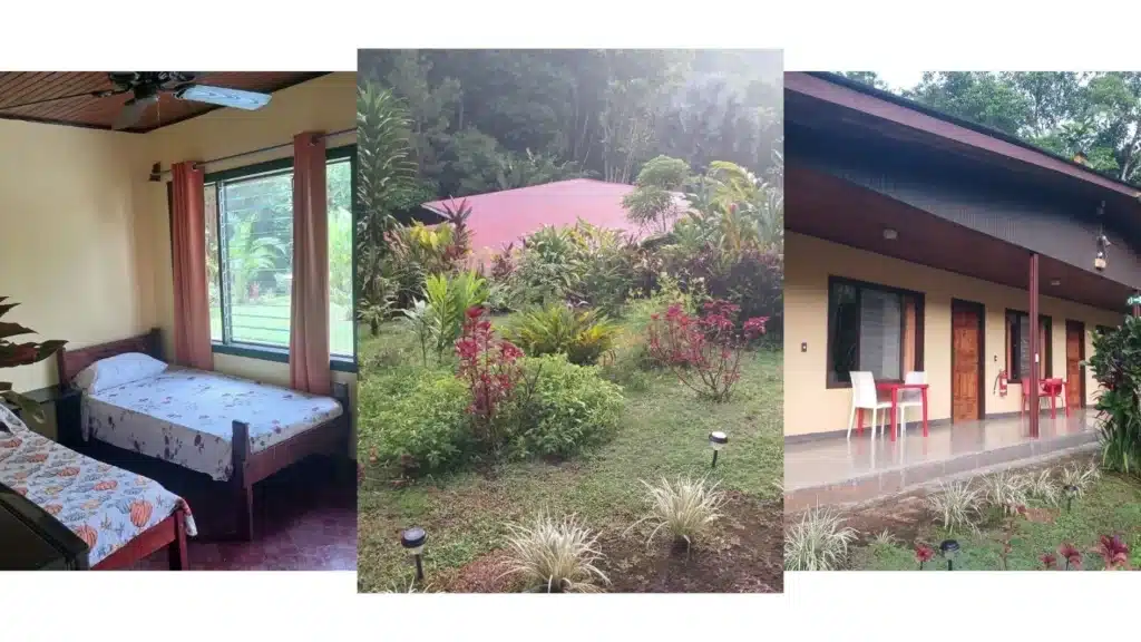 Rooms in tropical Nature - Purruja lodge