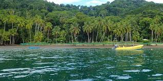 Golfo Dulce Golfito